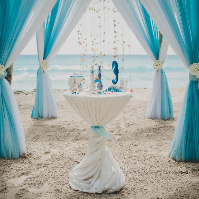 A blue and white wedding aisle in a beach surrounded by palms with the sea on the background
